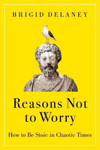 Cover image of Reasons Not to Worry: How to Be Stoic in Chaotic Times