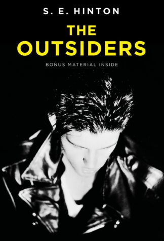 Cover image of The Outsiders
