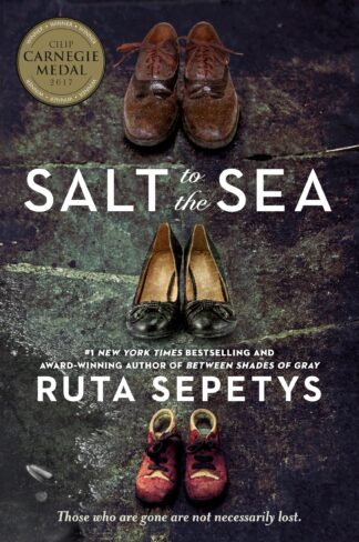 Cover image of Salt to the Sea
