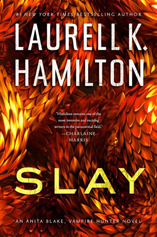 Cover image of Slay