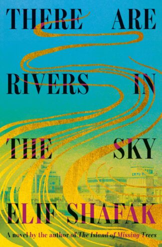 Cover image of There Are Rivers in the Sky: A novel