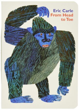 Cover image of From Head to Toe