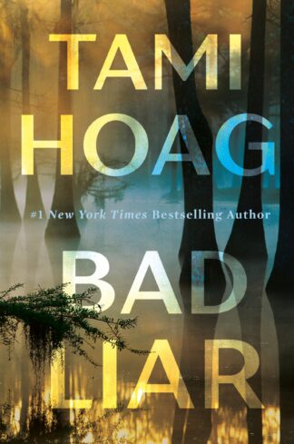 Cover image of Bad Liar: A Novel
