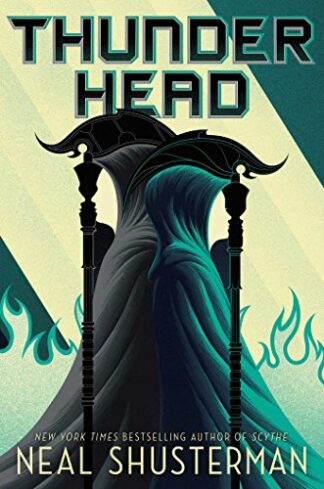 Cover image of Thunderhead
