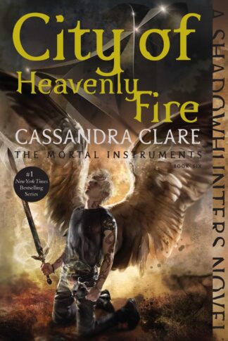 Cover image of City of Heavenly Fire