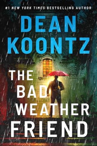 Cover image of The Bad Weather Friend