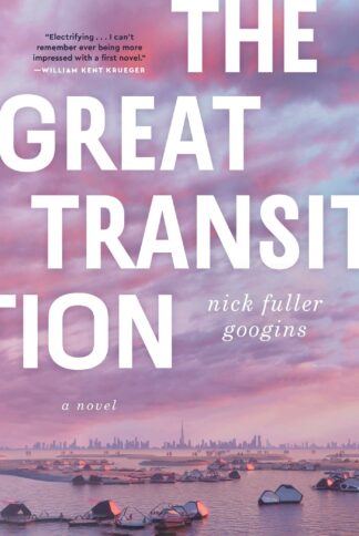 Cover image of The Great Transition: A Novel