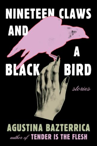 Cover image of Nineteen Claws and a Black Bird: Stories