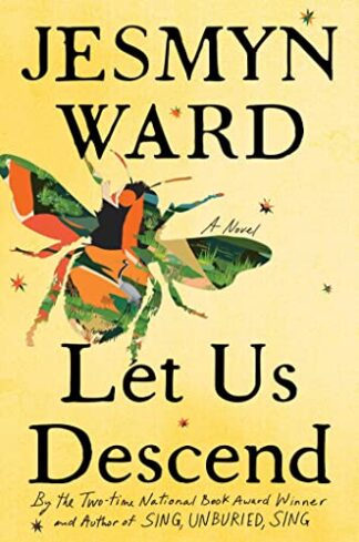 Cover image of Let Us Descend: A Novel