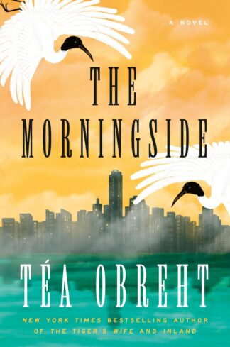 Cover image of The Morningside: A Novel