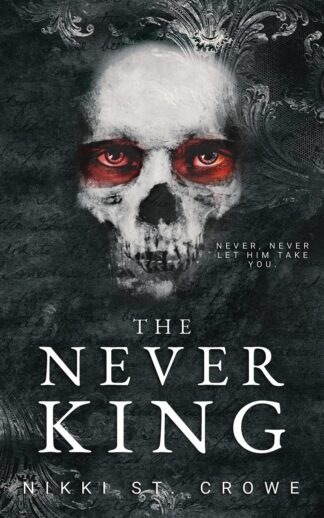 Cover image of The Never King