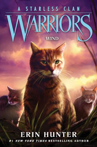 Cover image of Wind