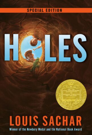 Cover image of Holes