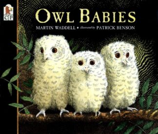 Cover image of Owl Babies