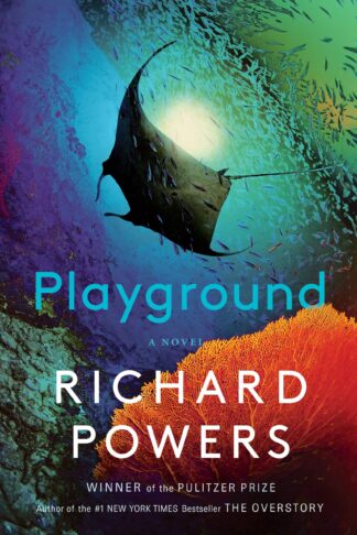 Cover image of Playground: A Novel
