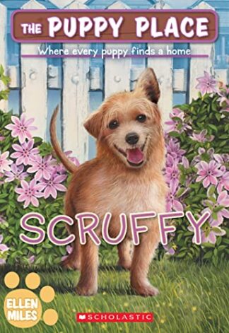 Cover image of Scruffy