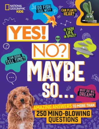 Cover image of Yes! No? Maybe So...: Amazing Answers to More Than 250 Mind-Blowing Questions