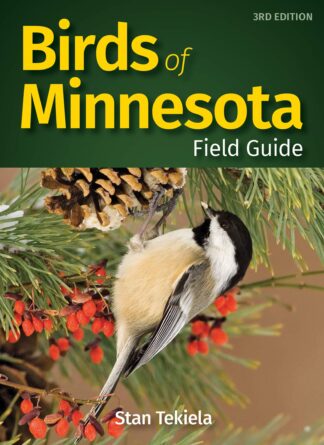 Cover image of Birds of Minnesota Field Guide (Bird Identification Guides)