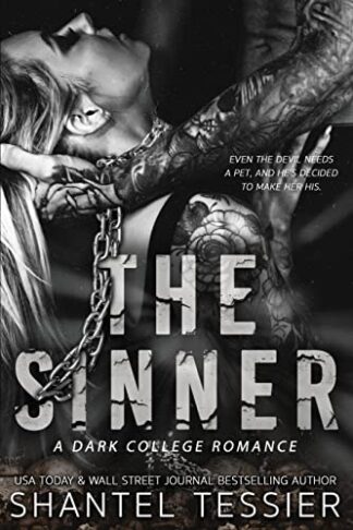 Cover image of The Sinner