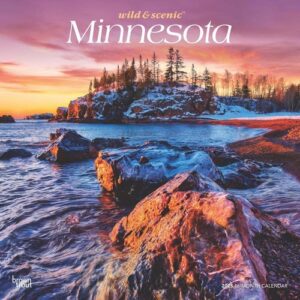 Minnesota Wild & Scenic 2025 12 X 24 Inch Monthly Square Wall Calendar Plastic-Free