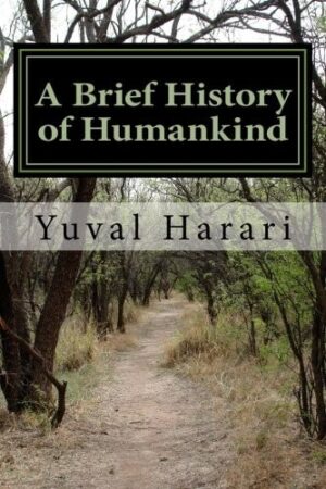 Sapiens: A Brief History of Humankind