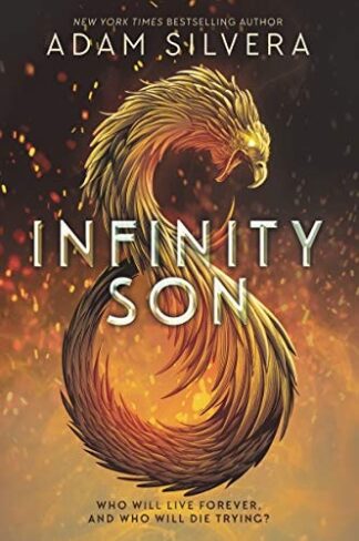 Cover image of Infinity Son