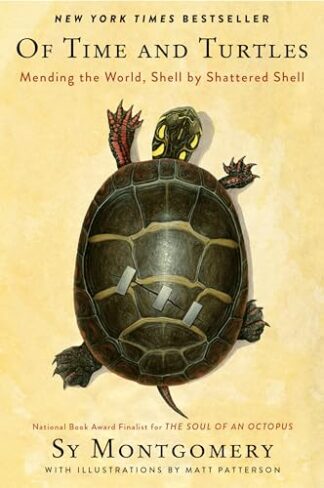Cover image of Of Time and Turtles: Mending the World