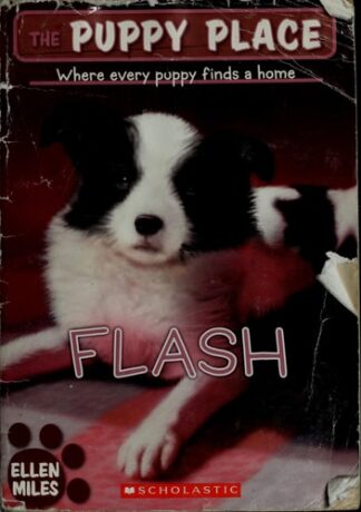 Cover image of Flash