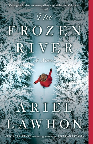 Cover image of The Frozen River: A Novel