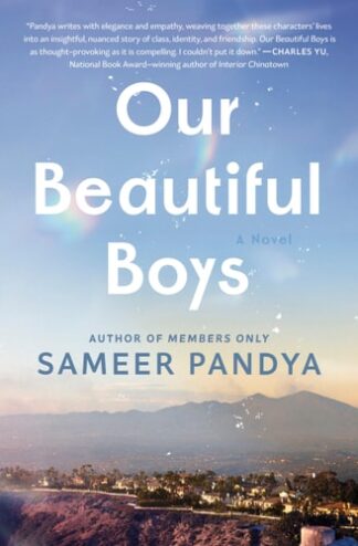 Cover image of Our Beautiful Boys: A Novel