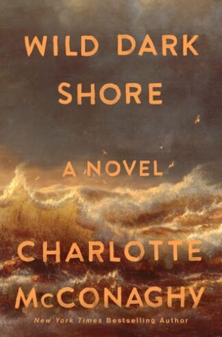 Cover image of Wild Dark Shore: A Novel