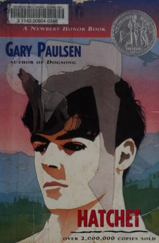Cover image of Hatchet