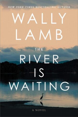 Cover image of The River Is Waiting: A Novel