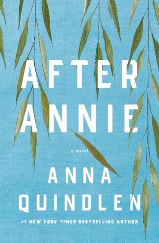 Cover image of After Annie: A Novel