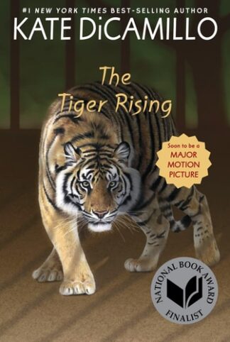Cover image of The Tiger Rising