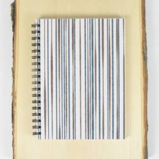 Cover image of Explore Large Notebook