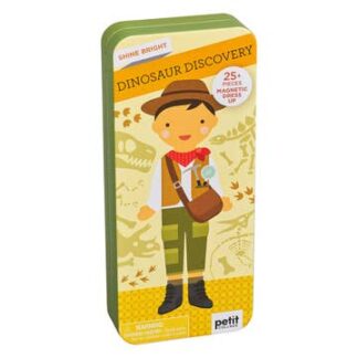 Cover image of Dinosaur Discovery Shine Bright Magnetic Play Set