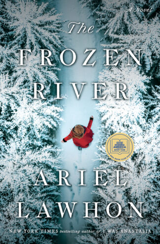 Cover image of The Frozen River: A Novel