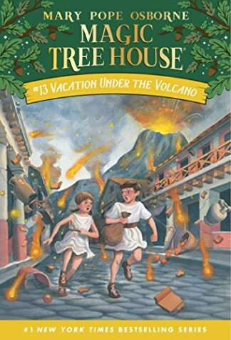 Cover image of Vacation Under the Volcano