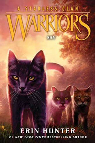 Cover image of Sky (Warriors: A Starless Clan