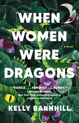 Cover image of When Women Were Dragons: A Novel