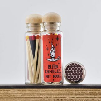 Cover image of Fahrenheit 451 Matches