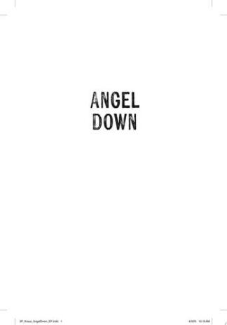 Angel Down (Pulitzer Prize Winner)